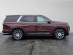 2023 Cadillac Escalade 4WD Premium Luxury Platinum